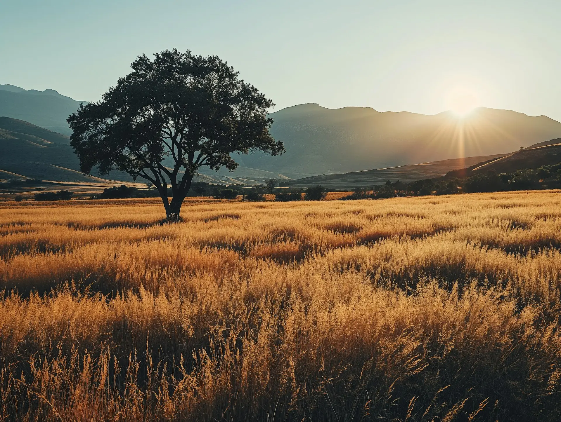 2024’te Çevrimiçi Gizlilik Rehberi (yeni koşullar)